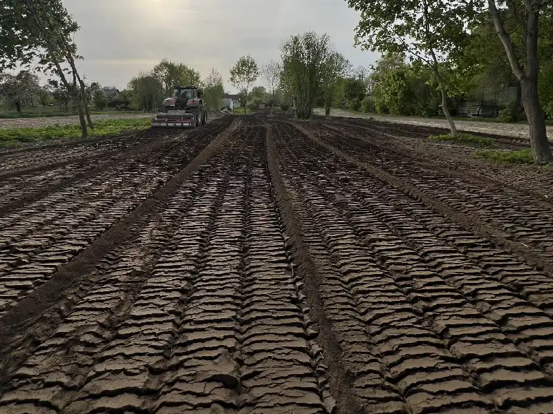 karczowanie