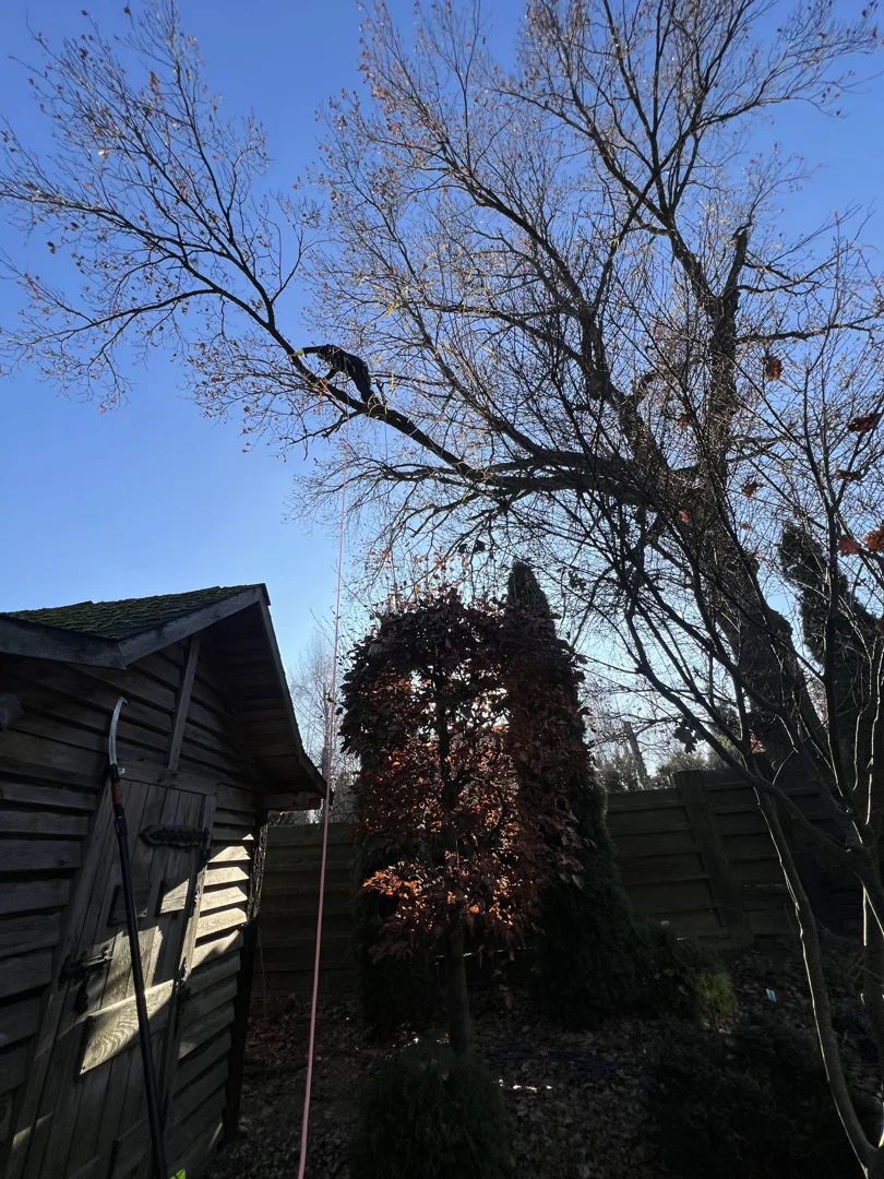 w1